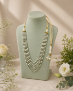 Aafreen Layers Necklace