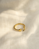 Nazakat Ring